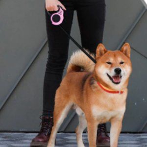 Dog Retractable Leash for Cats and Dogs, 16-FT. PINK